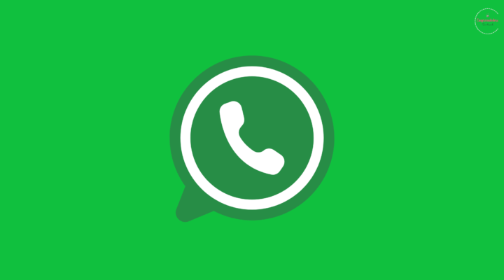 WhatsApp Business Como Impulsionar Suas Vendas e Conquistar Clientes com a Conta Comercial